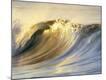Premium Photographic Print