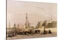 Stretched Canvas Print