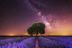 Milky Way over a lavender field in Guadalajara province, Spain, Europe-David Rocaberti-Framed Premier Image Canvas