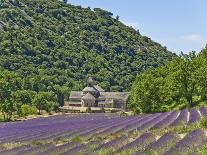 Lavender Fields and Senanque Monastery-David Sailors-Photographic Print