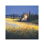 Tuscan Poppies II-David Short-Giclee Print