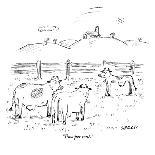 "Did we mention that we spent last summer in Maine?" - New Yorker Cartoon-David Sipress-Premium Giclee Print