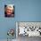 David Soul-null-Photo displayed on a wall