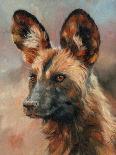 African Wild Dog-David Stribbling-Art Print