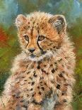 Cheetah Cub 3-David Stribbling-Art Print