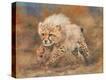 Stretched Canvas Print