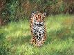 Premium Giclee Print
