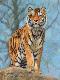 Premium Giclee Print
