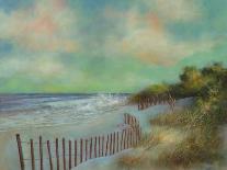 The Beach Fence III-David Swanagin-Art Print
