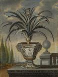 Pineapple Plant, 1729-David von Coln-Framed Premier Image Canvas