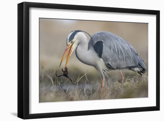 David Vs Goliat-Geir Jartveit-Framed Photographic Print