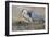 David Vs Goliat-Geir Jartveit-Framed Photographic Print