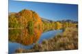 Premium Photographic Print