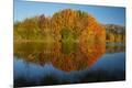 Premium Photographic Print