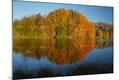 Photographic Print