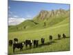 Photographic Print