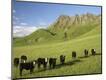 Photographic Print