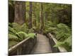 Photographic Print
