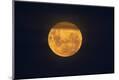 Premium Photographic Print