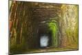 Premium Photographic Print