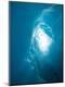 Premium Photographic Print