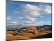 Photographic Print