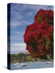 Polynesia Canvas Art Prints Paintings Posters Wall Art Art Com