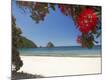 Premium Photographic Print