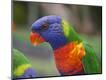 Photographic Print