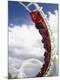 Premium Photographic Print