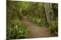 Premium Photographic Print