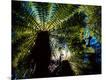 Photographic Print