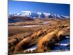 Photographic Print