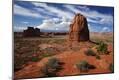 Photographic Print