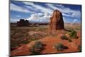 Photographic Print