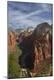 Photographic Print