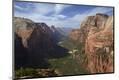 Photographic Print