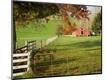 Photographic Print