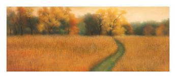 Harvest-David Wander-Art Print