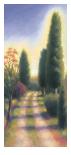 The Road Not Taken-David Wander-Art Print