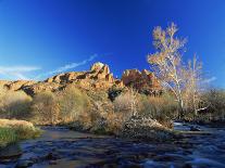Oak Creek Running Before Cathedral Rocks, Red Rock Crossing, Sedona, Arizona, USA-David Welling-Photographic Print