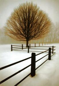 Solitude by David Winston