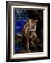 David with the Head of Goliath-Orazio Gentileschi-Framed Giclee Print