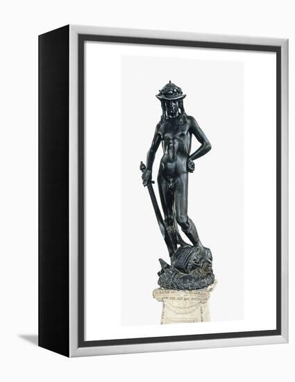 David-Donatello-Framed Stretched Canvas