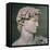 David-Michelangelo Buonarroti-Framed Premier Image Canvas