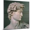 David-Michelangelo Buonarroti-Mounted Giclee Print