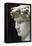 David-Michelangelo Buonarroti-Framed Premier Image Canvas