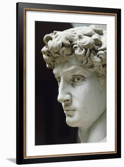 David-Michelangelo Buonarroti-Framed Giclee Print