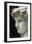 David-Michelangelo Buonarroti-Framed Giclee Print