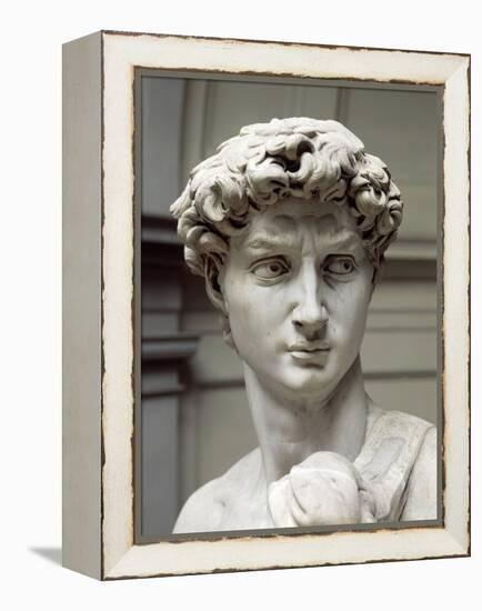 David-Michelangelo Buonarroti-Framed Premier Image Canvas